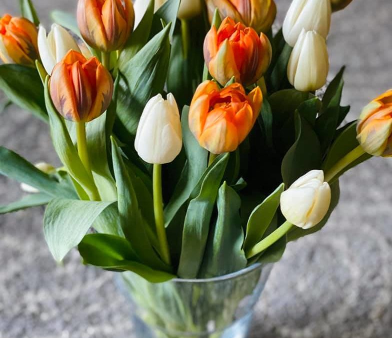 Weltfrauentag am 08.03.2020