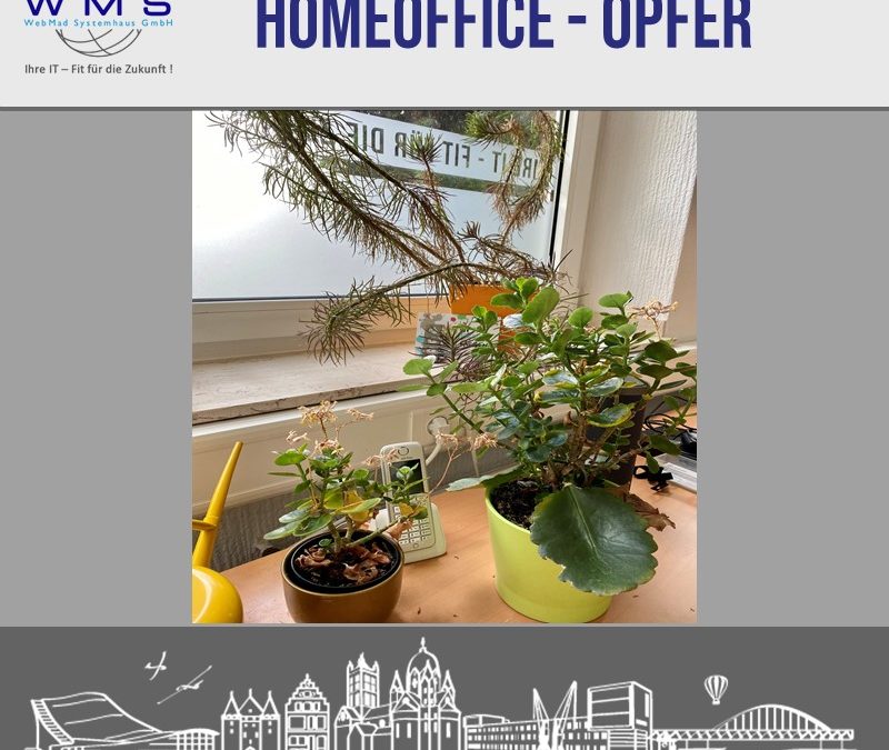 Homeoffice Opfer