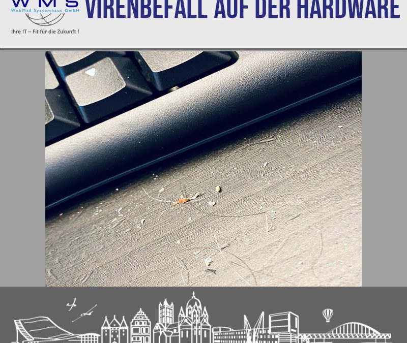 Wenn Viren nicht nur die Software befallen